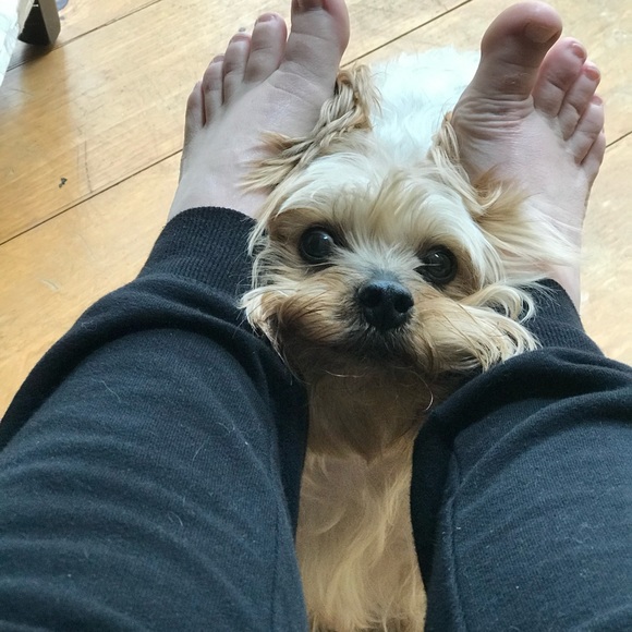 Meet your Posher, Elizabeth - Picture 7 of 15